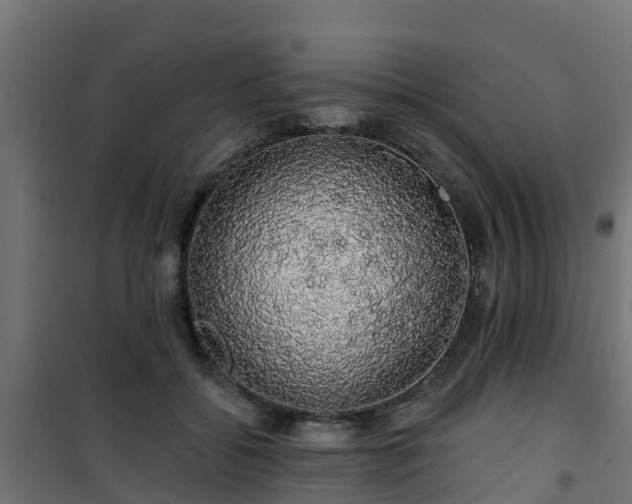 X0000101400556200807141159