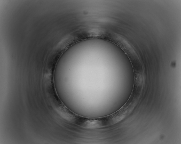 X0000101400557200807141159