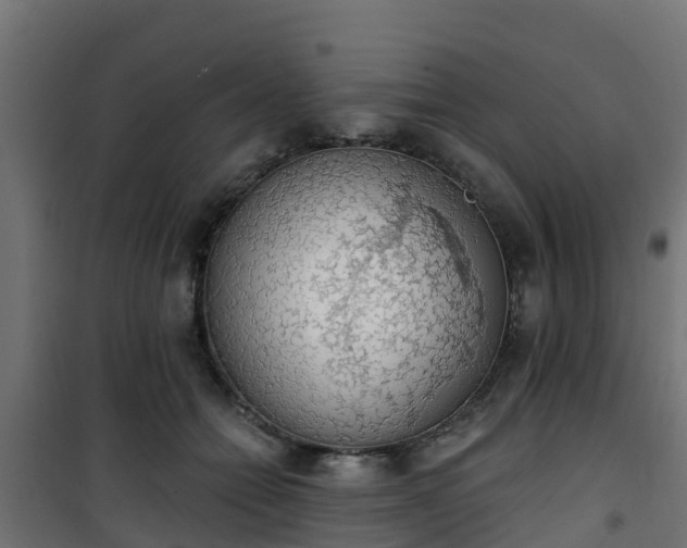 X0000101400558200807141159