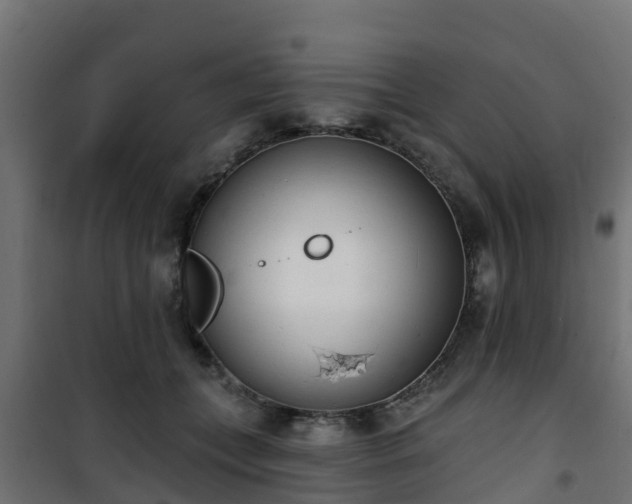 X0000101400559200807141159