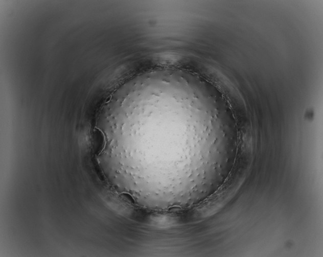 X0000101400561200807141159