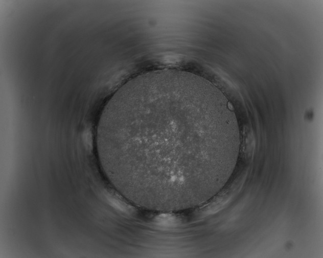 X0000101400562200807141159