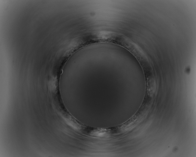 X0000101400563200807141159