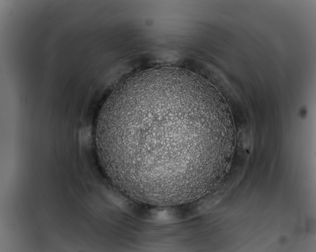 X0000101400564200807141159