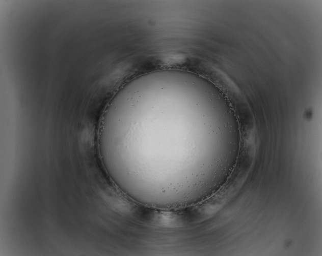 X0000101400565200807141159