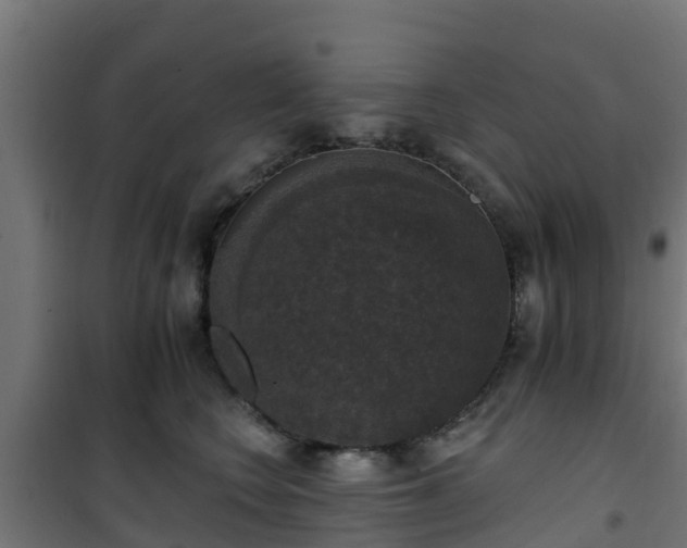 X0000101400566200807141159