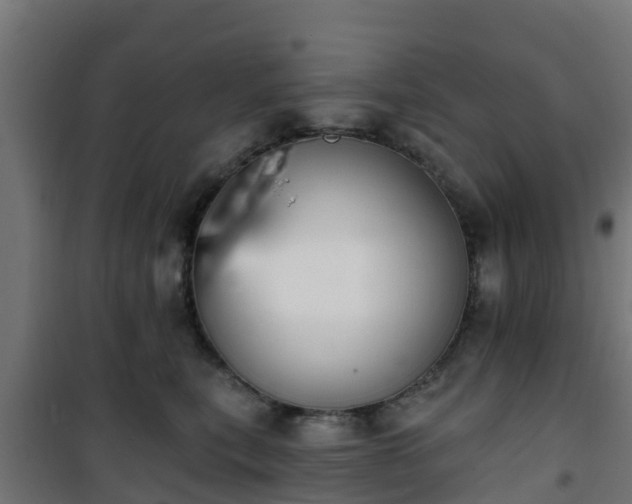 X0000101400567200807141159