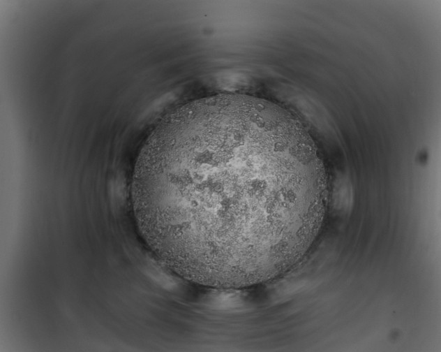 X0000101400569200807141159