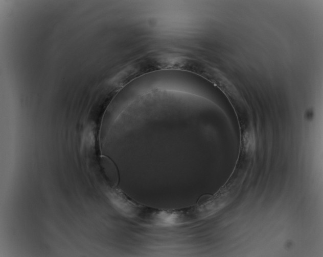 X0000101400570200807141159