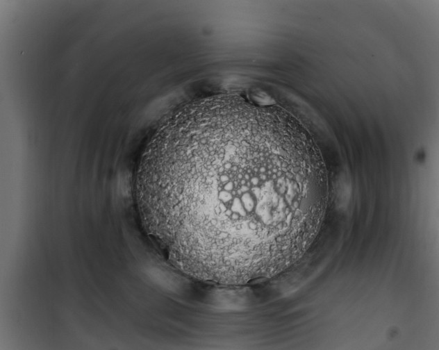 X0000101400571200807141159