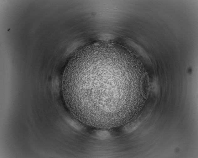 X0000101400572200807141159