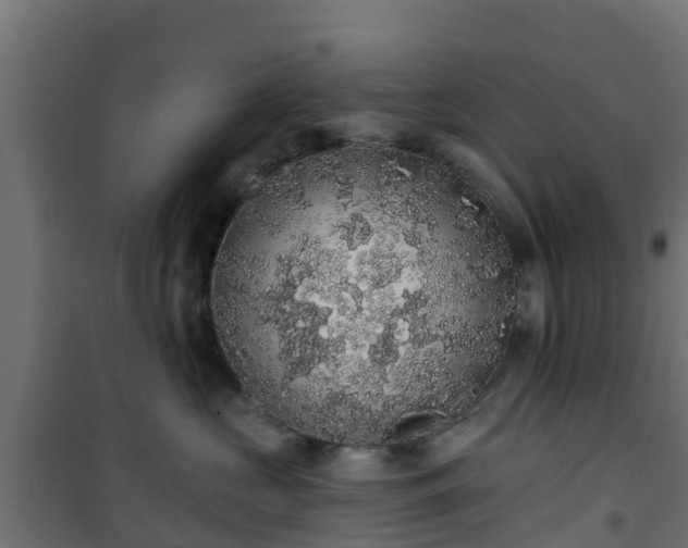 X0000101400573200807141159