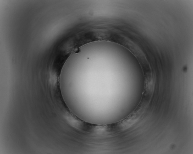 X0000101400574200807141159