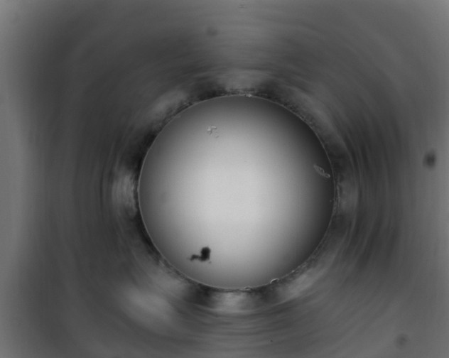 X0000101400575200807141159