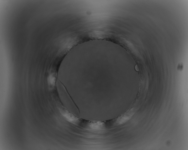 X0000101400576200807141159