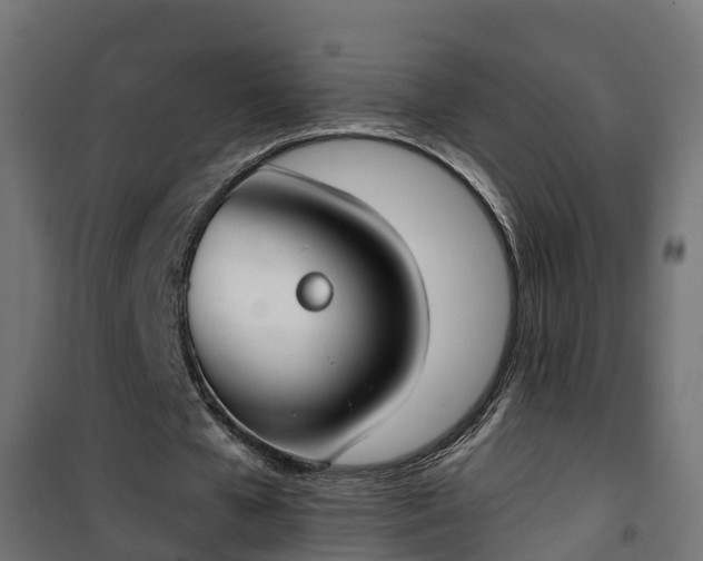 X0000101400577200807141159