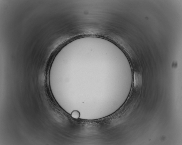 X0000101400579200807141159