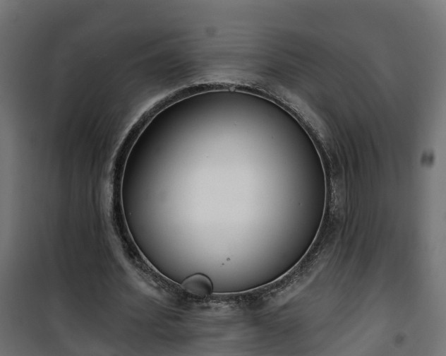 X0000101400580200807141159