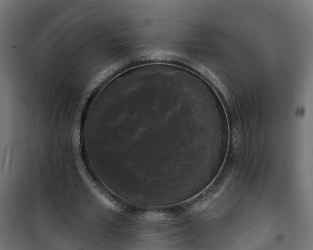 X0000101400581200807141159