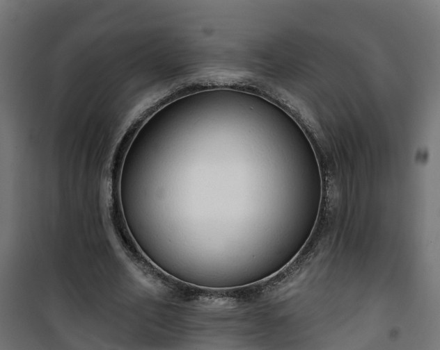 X0000101400582200807141159