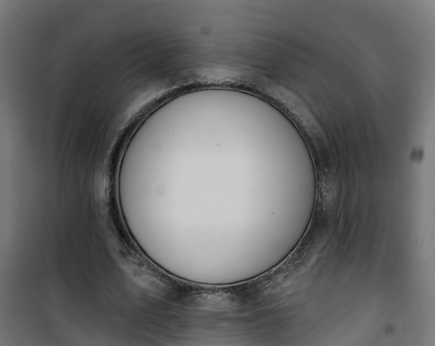 X0000101400583200807141159