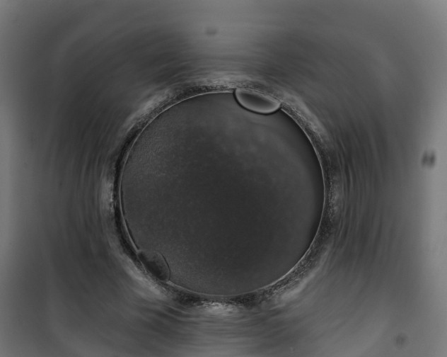 X0000101400585200807141159