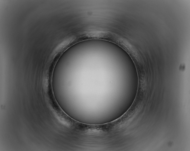 X0000101400586200807141159