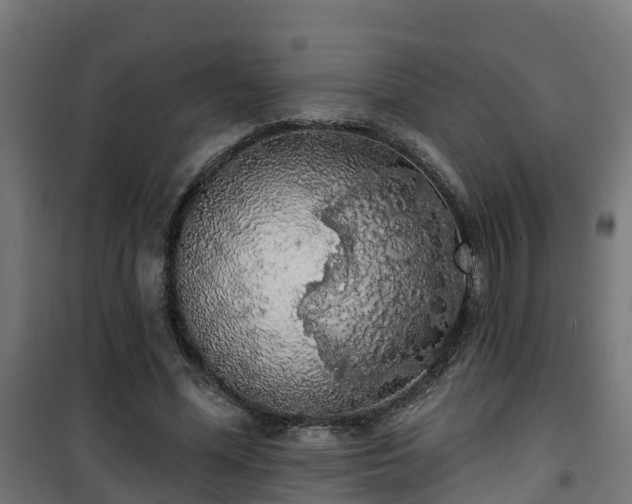 X0000101400588200807141159