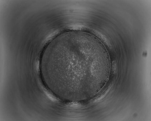 X0000101400589200807141159