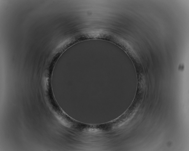 X0000101400590200807141159