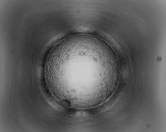 X0000101400591200807141159