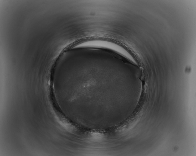 X0000101400592200807141158