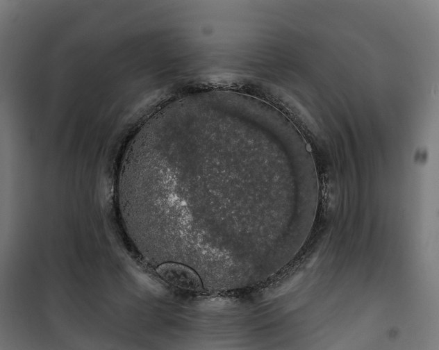 X0000101400593200807141158