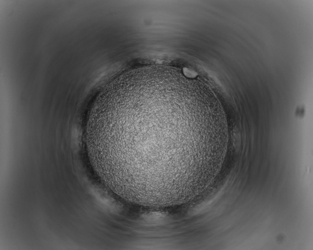 X0000101400594200807141158