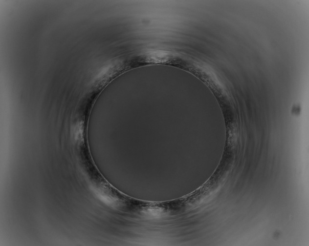 X0000101400598200807141158