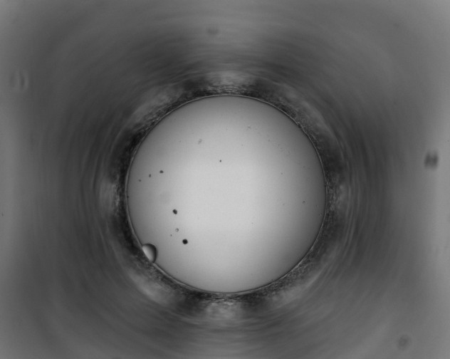 X0000101400599200807141158