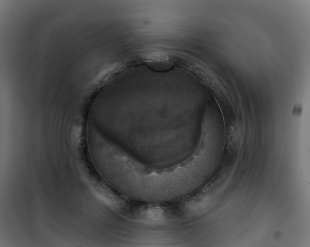 X0000101400600200807141158