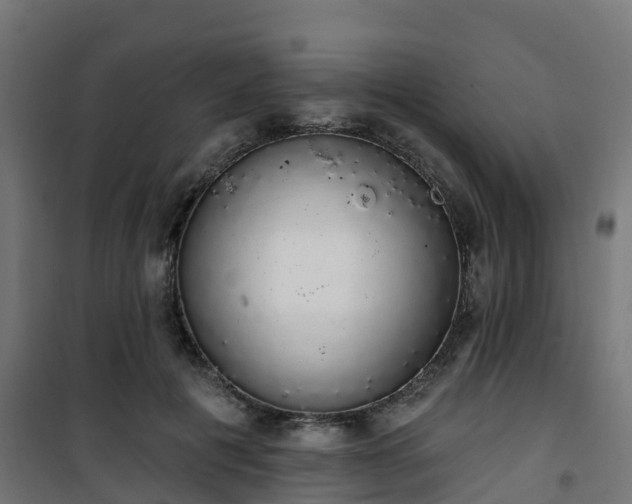 X0000101400601200807141158