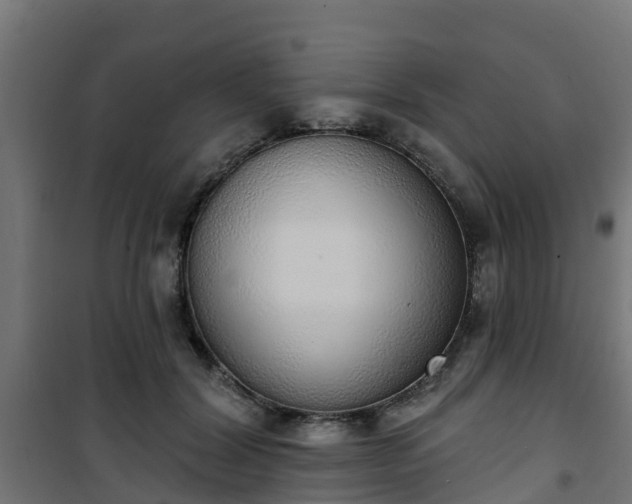 X0000101400604200807141158