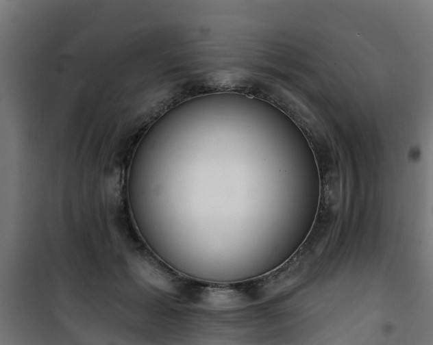 X0000101400605200807141158