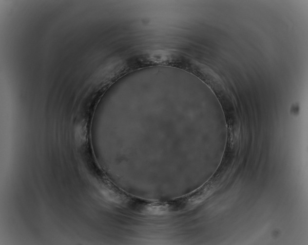 X0000101400606200807141158