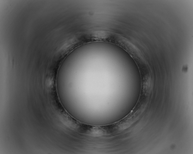 X0000101400608200807141158