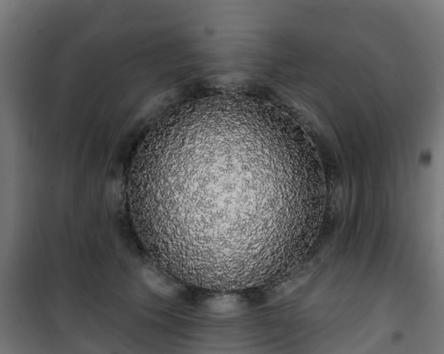 X0000101400609200807141158