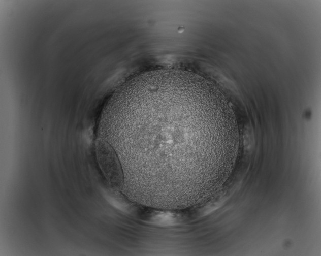 X0000101400611200807141158