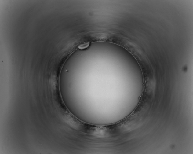 X0000101400612200807141158