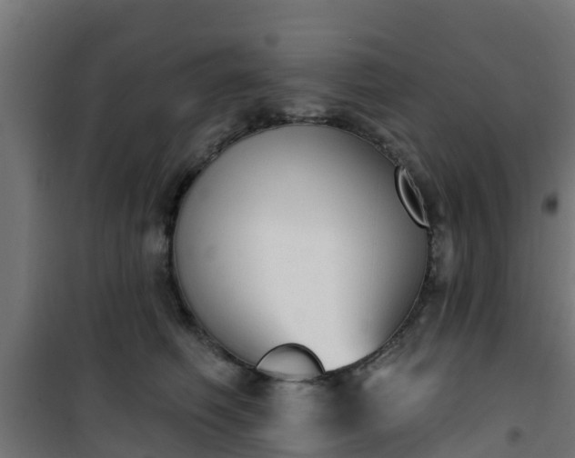 X0000101400614200807141158