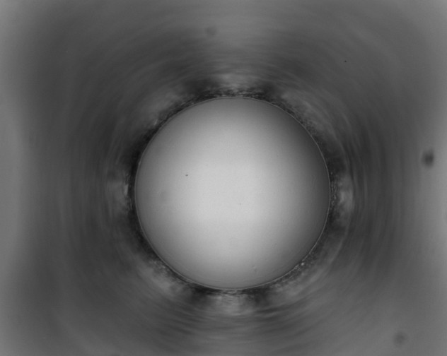 X0000101400615200807141158