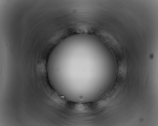 X0000101400616200807141158