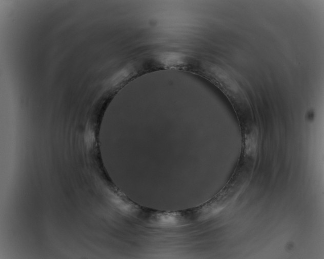 X0000101400618200807141158