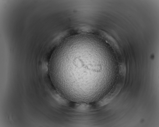 X0000101400621200807141158